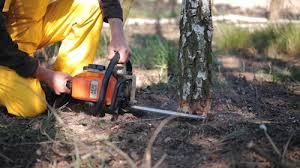 Best Lawn Irrigation Installation and Maintenance  in Montgomery Village, MD